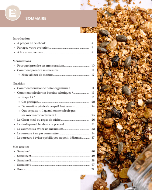 extrait ebook page sommaire